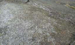 sandymount tower 10990.jpg